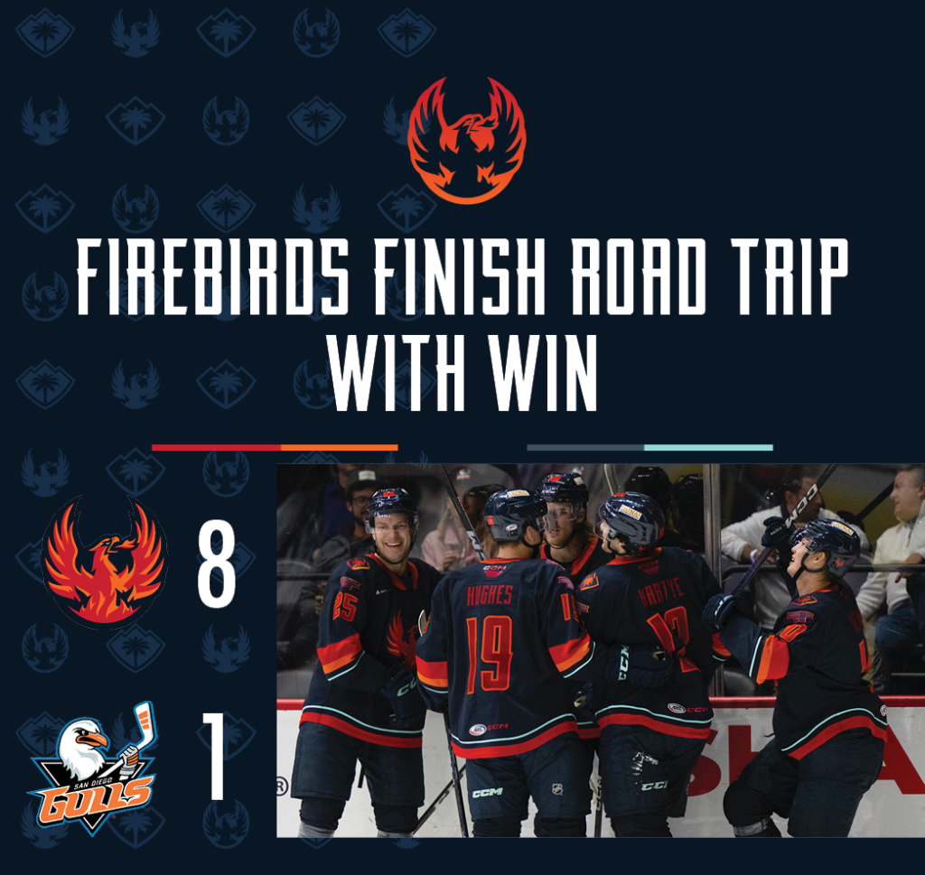 FIREBIRDS FINISH ROAD TRIP WITH LOPSIDED WIN OVER GULLS