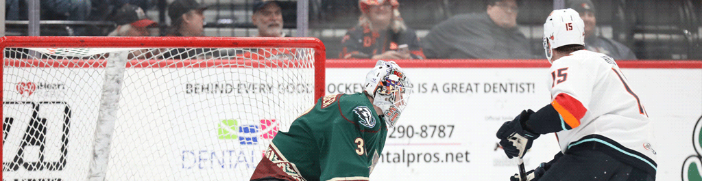 FIREBIRDS TAKE FIRST GAME OF WEEKEND SERIES AGAINST ROADRUNNERS