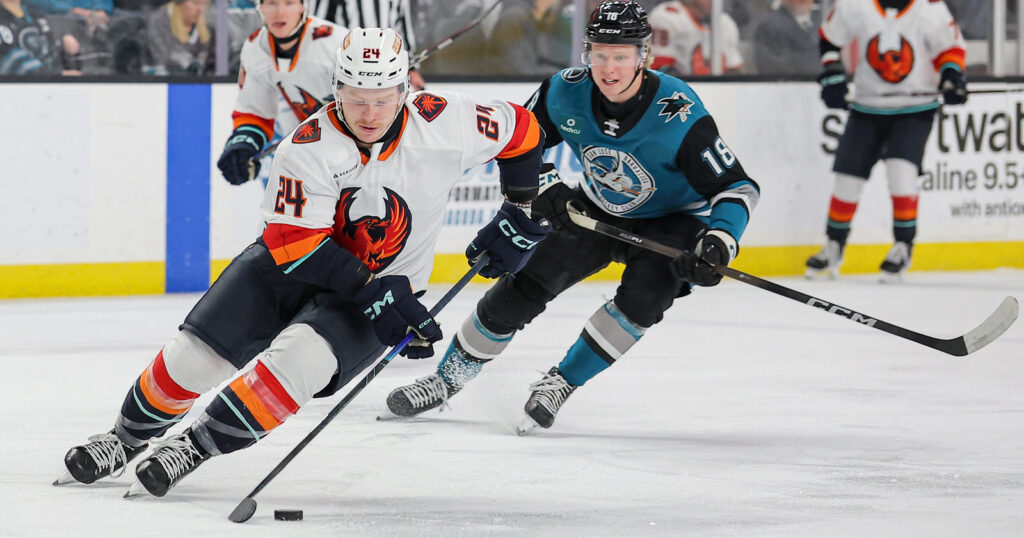 TERNESS MAKES 34 SAVES AS FIREBIRDS DOWN BARRACUDA 4-1