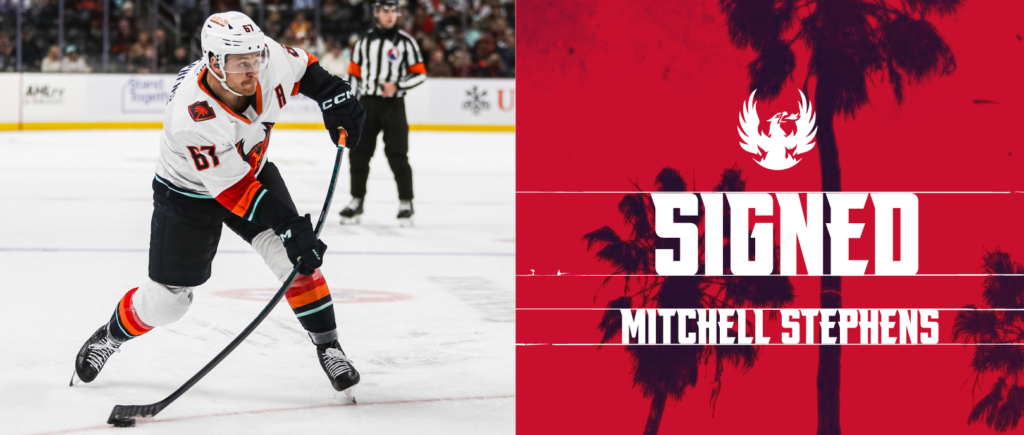 FIREBIRDS SIGN FORWARD MITCHELL STEPHENS TO TWO-YEAR CONTRACT